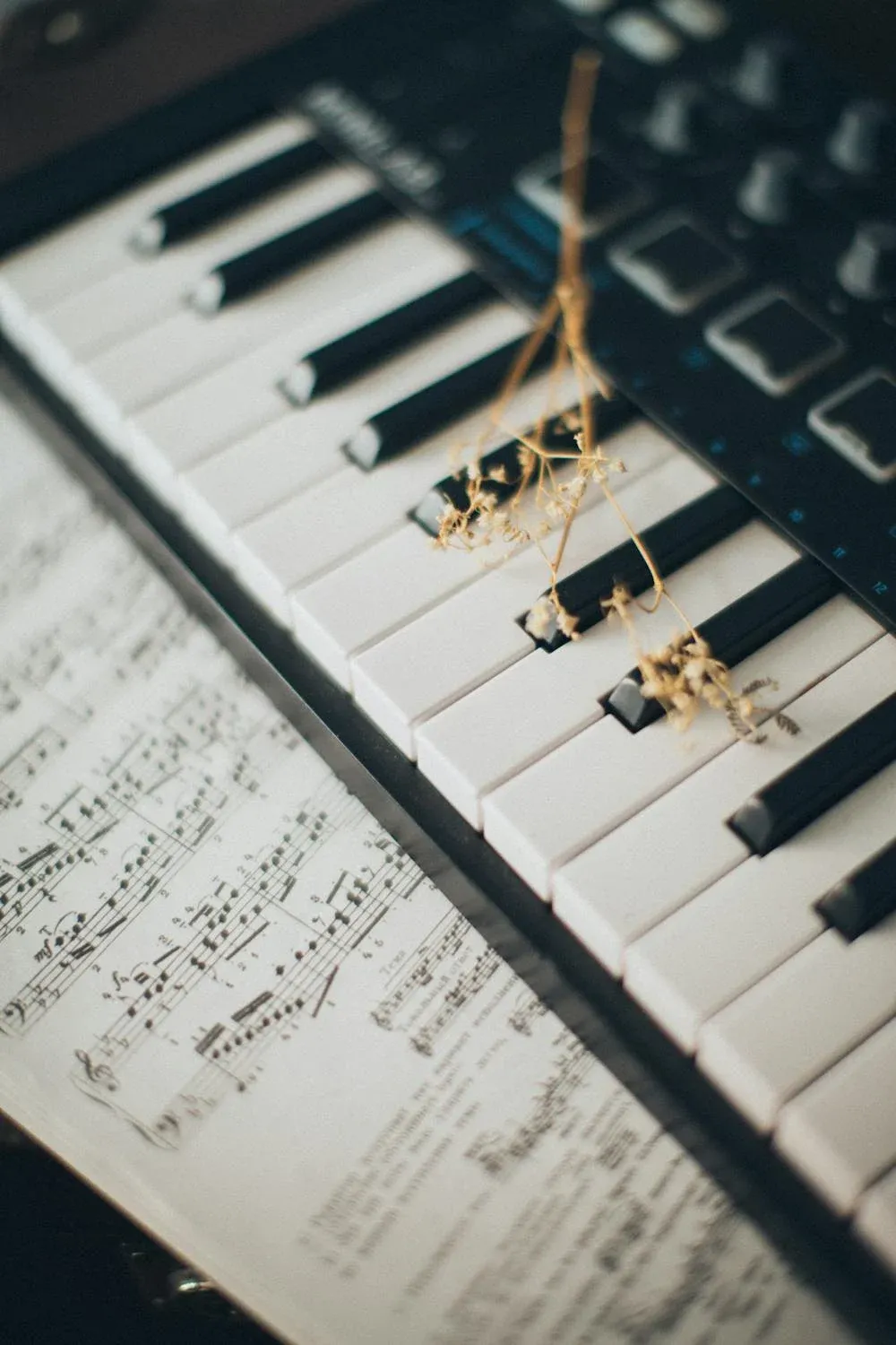 Khóa Học Piano Tại Đà Nẵng 5 Đàn Piano TPianist
